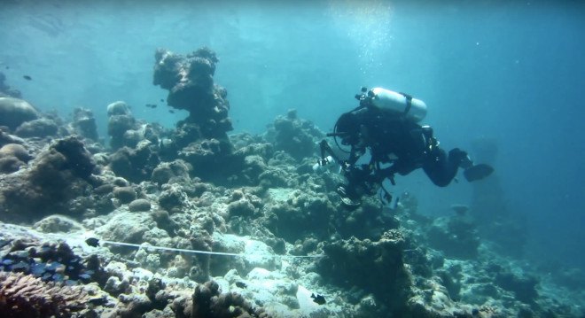 the hydrous, coral reefs, hydrous coral, coral 3d mapping, coral 3d printing, coral 3d images, autodesk coral reefs, autodesk memento, sly lee, coral reef conservation