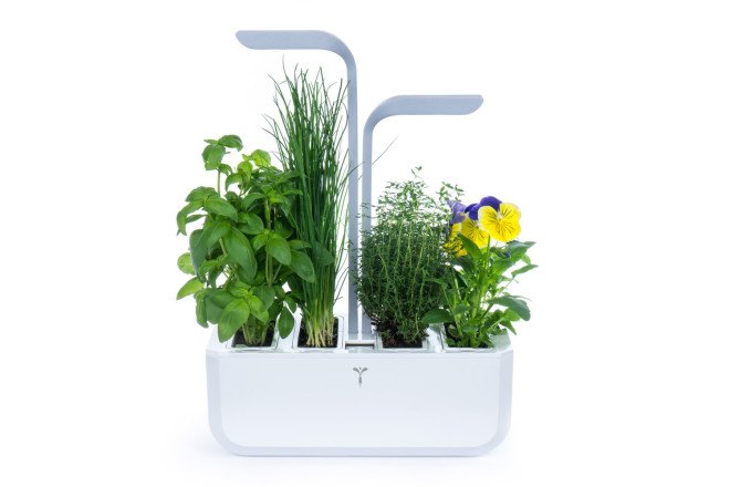 Veritable, indoor garden, tiny garden, kitchen garden, indoor herbs, growing herbs indoors, growing plants indoors, growing vegetables indoors, gardening, vegetable gardening, reader submission, green design