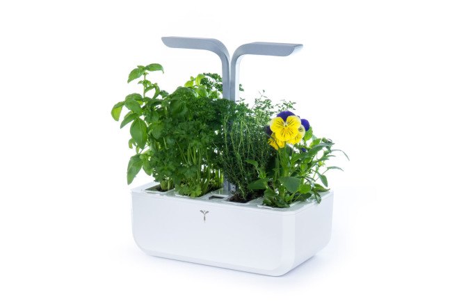 Veritable, indoor garden, tiny garden, kitchen garden, indoor herbs, growing herbs indoors, growing plants indoors, growing vegetables indoors, gardening, vegetable gardening, reader submission, green design