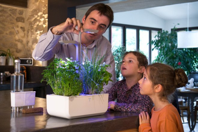 Veritable, indoor garden, tiny garden, kitchen garden, indoor herbs, growing herbs indoors, growing plants indoors, growing vegetables indoors, gardening, vegetable gardening, reader submission, green design
