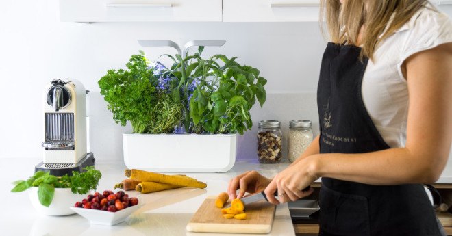 Veritable, indoor garden, tiny garden, kitchen garden, indoor herbs, growing herbs indoors, growing plants indoors, growing vegetables indoors, gardening, vegetable gardening, reader submission, green design