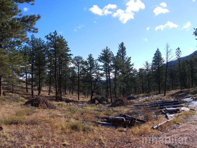 forest fires, the nature conservancy, prescribed fires, controlled forest fires, Cache de la Poudre Watershed, Anheuser-Busch, Fort Collin's Colorado, Hyde Park Fire of 2012, fire fighting, fire safety, watershed protection programs