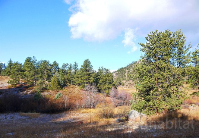 forest fires, the nature conservancy, prescribed fires, controlled forest fires, Cache de la Poudre Watershed, Anheuser-Busch, Fort Collin's Colorado, Hyde Park Fire of 2012, fire fighting, fire safety, watershed protection programs