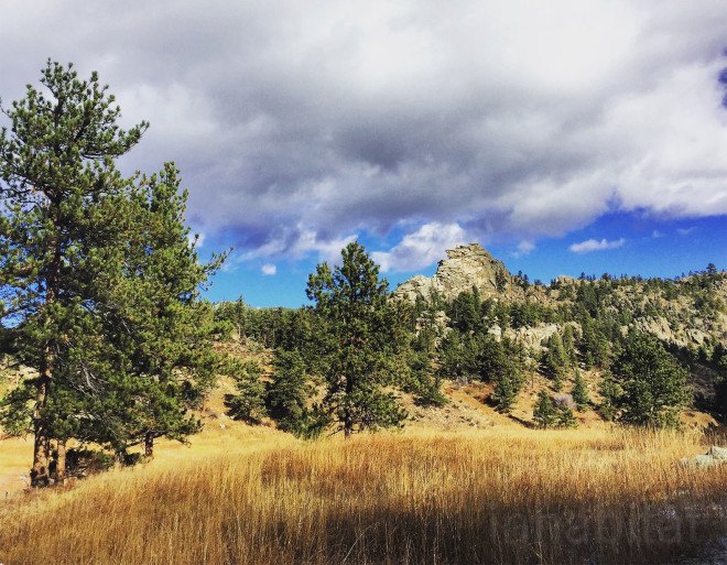 forest fires, the nature conservancy, prescribed fires, controlled forest fires, Cache de la Poudre Watershed, Anheuser-Busch, Fort Collin's Colorado, Hyde Park Fire of 2012, fire fighting, fire safety, watershed protection programs