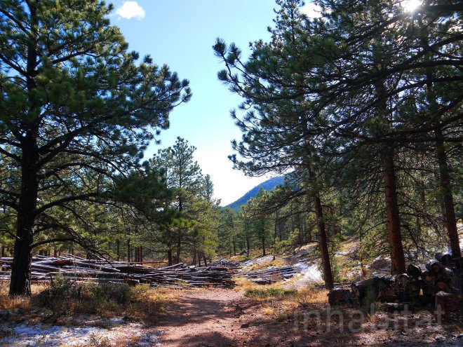 forest fires, the nature conservancy, prescribed fires, controlled forest fires, Cache de la Poudre Watershed, Anheuser-Busch, Fort Collin's Colorado, Hyde Park Fire of 2012, fire fighting, fire safety, watershed protection programs