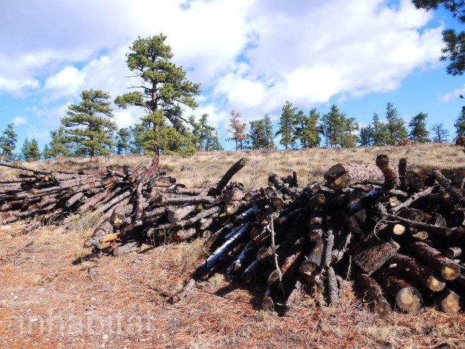 forest fires, the nature conservancy, prescribed fires, controlled forest fires, Cache de la Poudre Watershed, Anheuser-Busch, Fort Collin's Colorado, Hyde Park Fire of 2012, fire fighting, fire safety, watershed protection programs