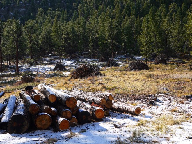 forest fires, the nature conservancy, prescribed fires, controlled forest fires, Cache de la Poudre Watershed, Anheuser-Busch, Fort Collin's Colorado, Hyde Park Fire of 2012, fire fighting, fire safety, watershed protection programs