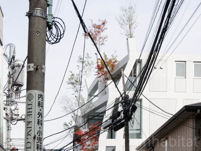 Sou Fujimoto, japanese architecture, tokyo architecture, japanese house, Japanese design, vertical forest, Bosco Verticale, green facade, omotesando, Omotesando Branches, Trees Building, facade