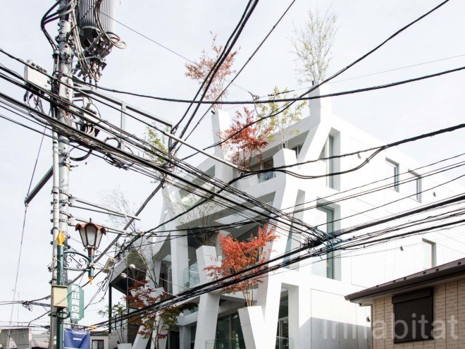 Sou Fujimoto, japanese architecture, tokyo architecture, japanese house, Japanese design, vertical forest, Bosco Verticale, green facade, omotesando, Omotesando Branches, Trees Building, facade