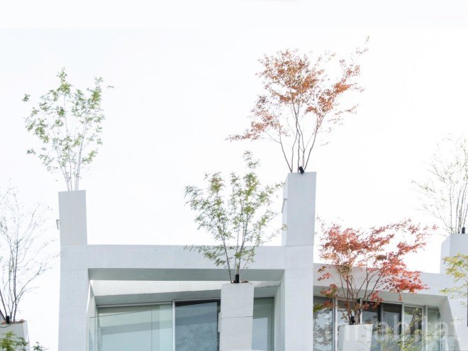 Sou Fujimoto, japanese architecture, tokyo architecture, japanese house, Japanese design, vertical forest, Bosco Verticale, green facade, omotesando, Omotesando Branches, Trees Building, facade