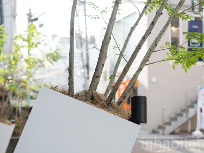 Sou Fujimoto, japanese architecture, tokyo architecture, japanese house, Japanese design, vertical forest, Bosco Verticale, green facade, omotesando, Omotesando Branches, Trees Building, facade