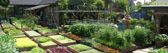 Dervaes family farm, California farm, family farm produces 6,000 pounds of food, urban agriculture, urban farming, 6,000 pounds of food on 4,000 square feet of land, California family farm
