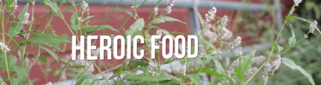 Claverack, heroic food, heroic food farm , veteran employment opportunities, ennead, ennead architects, raft landscape architecture, hudson new york, new york farms, social justice, inhabitat video