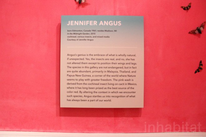 Renwick Gallery, wall art, insect art, insects, environmental art, Jennifer Angus, site specific art, immersive art, immersive museum, Wonder Exhibit, Renwick Gallery Wonder, Jennifer Angus insects, In the Midnight Garden by Jennifer Angus, Smithsonian American Art Museum, Smithsonian museum, Washington DC, D.C.,