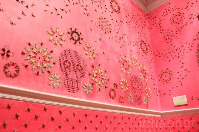 Renwick Gallery, wall art, insect art, insects, environmental art, Jennifer Angus, site specific art, immersive art, immersive museum, Wonder Exhibit, Renwick Gallery Wonder, Jennifer Angus insects, In the Midnight Garden by Jennifer Angus, Smithsonian American Art Museum, Smithsonian museum, Washington DC, D.C.,