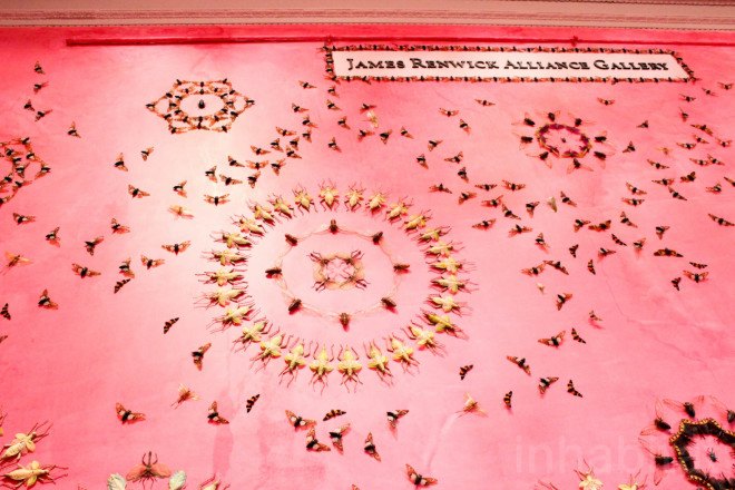 Renwick Gallery, wall art, insect art, insects, environmental art, Jennifer Angus, site specific art, immersive art, immersive museum, Wonder Exhibit, Renwick Gallery Wonder, Jennifer Angus insects, In the Midnight Garden by Jennifer Angus, Smithsonian American Art Museum, Smithsonian museum, Washington DC, D.C.,