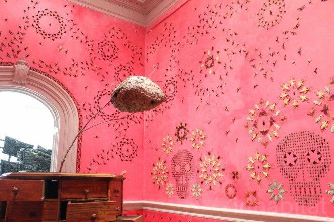 Renwick Gallery, wall art, insect art, insects, environmental art, Jennifer Angus, site specific art, immersive art, immersive museum, Wonder Exhibit, Renwick Gallery Wonder, Jennifer Angus insects, In the Midnight Garden by Jennifer Angus, Smithsonian American Art Museum, Smithsonian museum, Washington DC, D.C.,