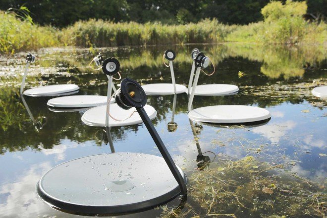 Marco Barotti, recycled satellite dishes, swans, floatng installation, swan lake, musical art installation,