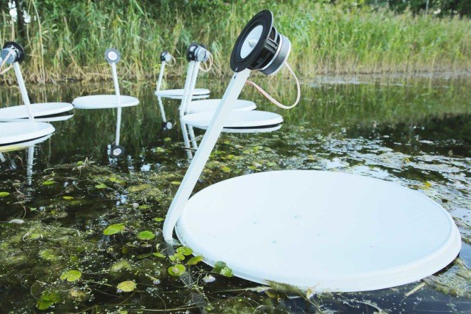 Marco Barotti, recycled satellite dishes, swans, floatng installation, swan lake, musical art installation,