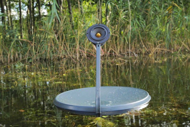 Marco Barotti, recycled satellite dishes, swans, floatng installation, swan lake, musical art installation,