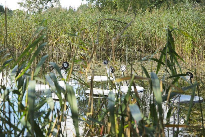 Marco Barotti, recycled satellite dishes, swans, floatng installation, swan lake, musical art installation,