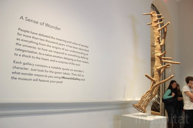 Wonder exhibit, Middle Fork, Middle Fork by John Grade, Renwick Gallery, biodegradable, tree art, site specific art, reclaimed wood, MadArt Studio, John Grade, plaster tree cast, tree cast, site specific sculpture, tree sculpture, hemlock, balsam poplar, western red cedar, reclaimed cedar, public art,