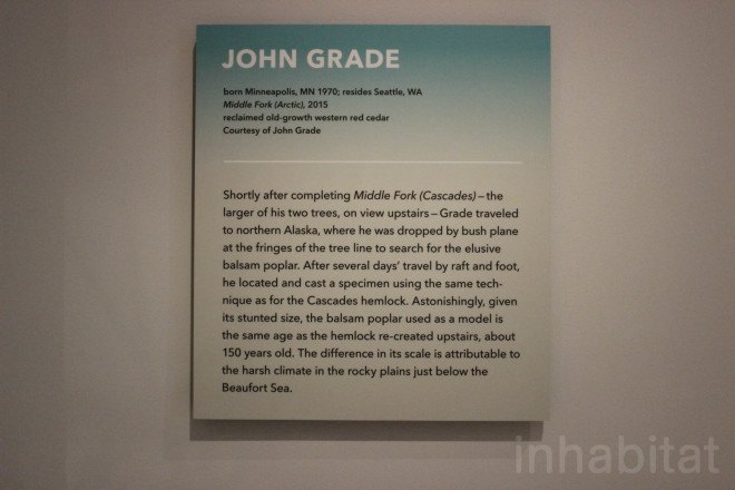 Wonder exhibit, Middle Fork, Middle Fork by John Grade, Renwick Gallery, biodegradable, tree art, site specific art, reclaimed wood, MadArt Studio, John Grade, plaster tree cast, tree cast, site specific sculpture, tree sculpture, hemlock, balsam poplar, western red cedar, reclaimed cedar, public art,