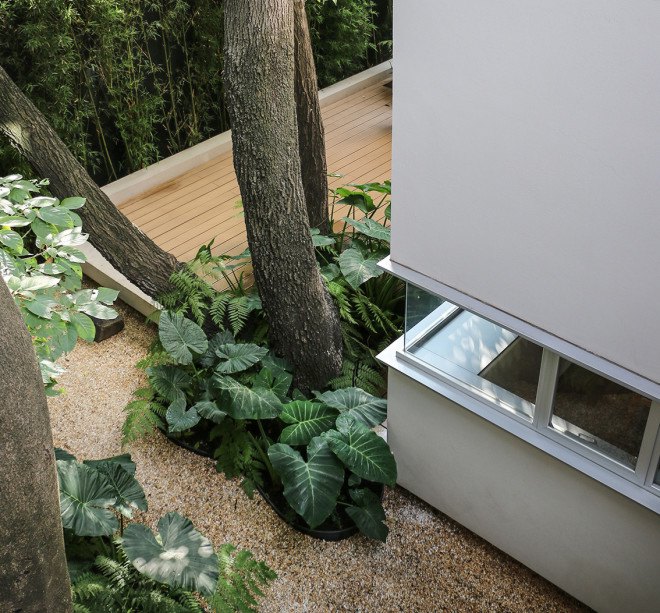 paul cremoux studio, casa nirau, mexico, mexico city, small homes, eco-friendly homes, green home design, rainwater recycling, rainwater collection, energy efficient homes