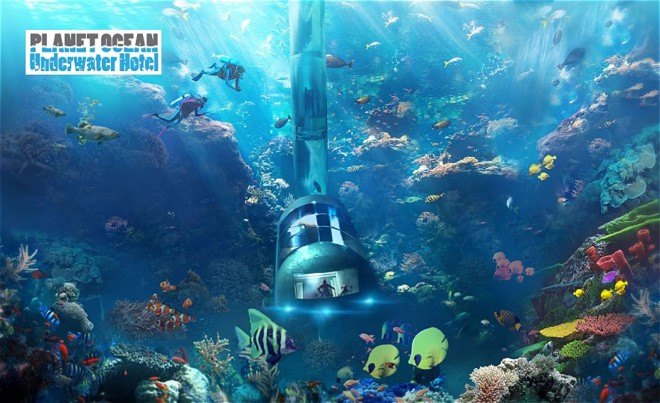 oceans, coral reefs, coral reef restoration, underwater hotel, luxury hotels, hotels Florida, ocean ecology, luxury travel, offbeat travel, boutique hotels Florida