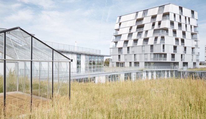 Chartier Dalix Architectes, Rosalind Franklin School Complex, Rosalind Franklin School Complex by Chartier Dalix Architectes, Ivry-sur-Seine, green roof, green roofed school, green terraces, biodiversity, teaching garden