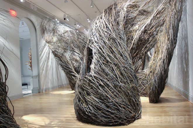 Patrick Dougherty, Renwick Gallery, Shindig, Shindig by Patrick Dougherty, willow sapling art, twig art, stick art, environmental art, Smithsonian, Smithsonian American Art Museum, site specific art, site specific installation, Renwick Gallery Wonder exhibit,