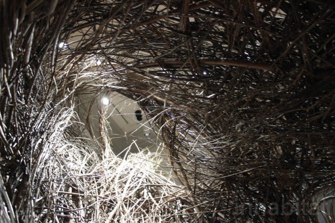 Patrick Dougherty, Renwick Gallery, Shindig, Shindig by Patrick Dougherty, willow sapling art, twig art, stick art, environmental art, Smithsonian, Smithsonian American Art Museum, site specific art, site specific installation, Renwick Gallery Wonder exhibit,