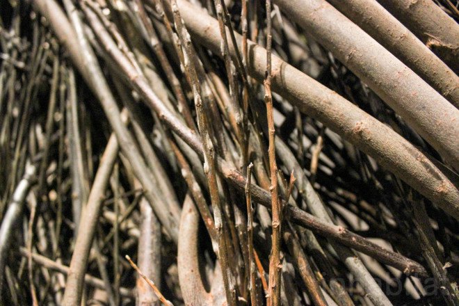 Patrick Dougherty, Renwick Gallery, Shindig, Shindig by Patrick Dougherty, willow sapling art, twig art, stick art, environmental art, Smithsonian, Smithsonian American Art Museum, site specific art, site specific installation, Renwick Gallery Wonder exhibit,