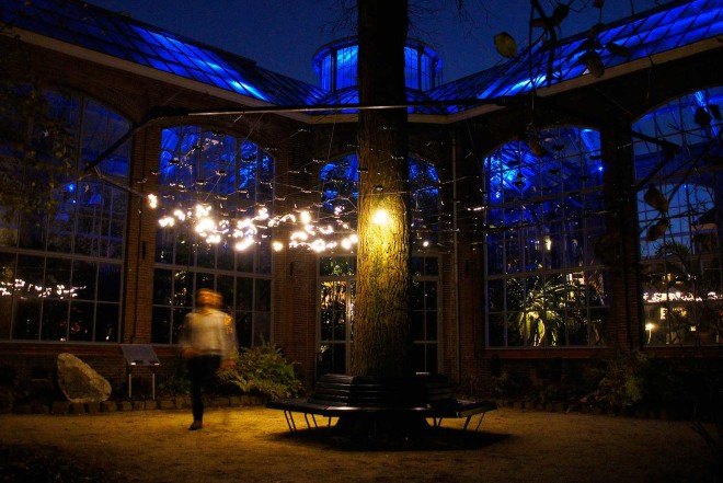 Studio Toer, kinetic installation, Social Sparkles, Amsterdam, Amsterdam Light Festival, Eindhoven, LED lights, twinkling lights, fireflies inspiration, Hortus Botanicus,