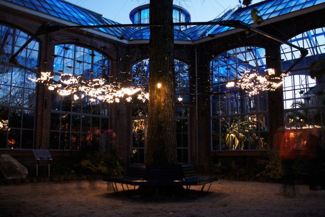Studio Toer, kinetic installation, Social Sparkles, Amsterdam, Amsterdam Light Festival, Eindhoven, LED lights, twinkling lights, fireflies inspiration, Hortus Botanicus,