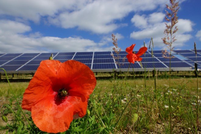 solar, solar power, solar farms, renewable energy, Woodland North Carolina, solar power dangers, clean energy, green energy, democracy