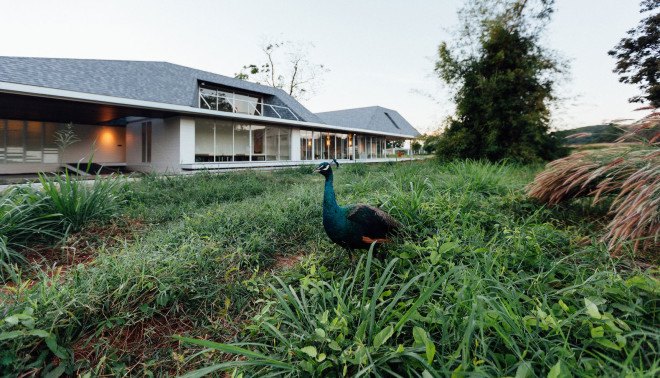 SOOK Architects, Baan Rai Thaw Si, residential wastewater treatment, self-sufficient water systems, green homes, sustainable homes, green design