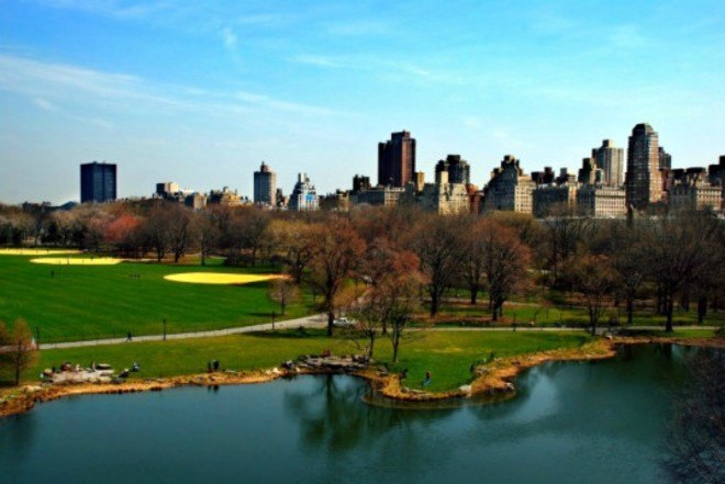 Jill Hubley, tree map, interactive tree map nyc, green space nyc, parks nyc, parks nyc, tree guide nyc, leaf guide nyc, nyc urban forest, urban maps, urban green space, green space nyc, nyc trees, tree density nyc, green design, nature nyc