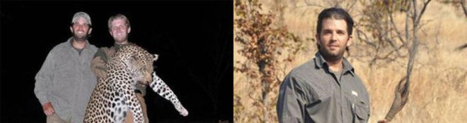 donald trump, donald trump jr, eric trump, big game hunters, presidential candidates, endangered animals, donald trump petition