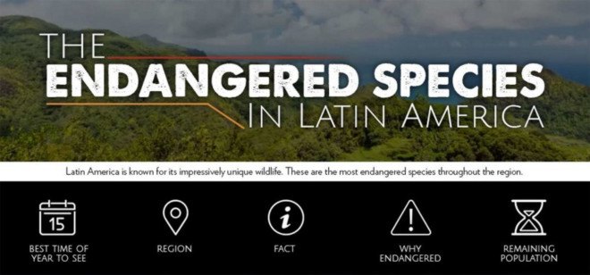 hunting, poaching, hunting endangered animals, habitat destruction, habitat, reader submission, infographic, endangered animals, endangered sloth, south american animals, south american endangered animals, central american endangered animals,