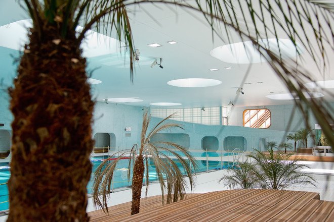 Feng Shui, swimming pool, green roof, Laurence Dujardin, Mikou Studio, Feng Shui swimming pool by Mikou Studio, Feng Shui swimming pool, skylights, AquaZena, AquaZena Paris, Paris,