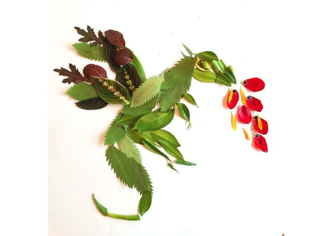 Flora Forager, Bridget Beth Collins, foraged art, nature-inspired art, garden-inspired art, plant art, Bridget Beth Collins art,