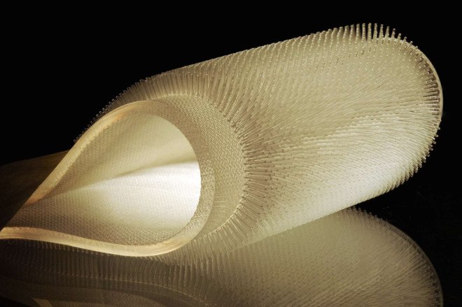 furry diving suit, furry wetsuit, wetsuit technology, diving, wetsuit, seals, sea lions, alice nastro, felice frankel, mit, massachusetts institute of technology, biomimicry