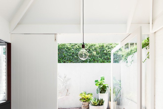 Carterwilliamson Architects, Light Cannon House, Le Corbusier, La Tourette, modernist architecture, green renovation, natural light, sculptural roof, light cannons, green interior, Sydney architecture