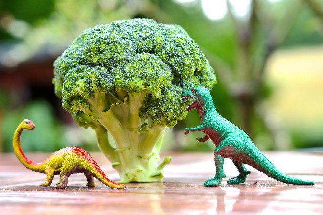 nyc schools, the daily scoop, lean and green kids, in defense of animals, plant-based nutrition, plant-based diet, nutrition education, plant-based nutrition lessons, teaching kids about plant-based diets, kids healthy foods
