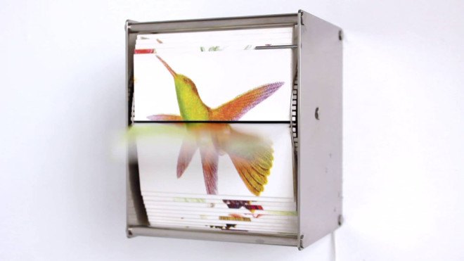 Ornithology, Ornithology flip book, flip book animation, Gilda Williams, Juan Fontanive, Ornithology by Juan Fontanive, Juan Fontanive flip books, motorized flip books, recycled bicycle parts, recycled bicycle art, bristol paper, bristol paper flip book, Vivarium flip books, Vivarium by Juan Fontanive