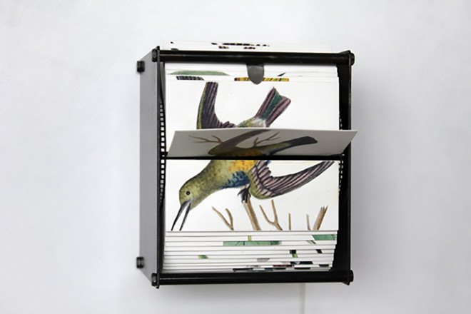 Ornithology, Ornithology flip book, flip book animation, Gilda Williams, Juan Fontanive, Ornithology by Juan Fontanive, Juan Fontanive flip books, motorized flip books, recycled bicycle parts, recycled bicycle art, bristol paper, bristol paper flip book, Vivarium flip books, Vivarium by Juan Fontanive