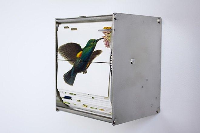 Ornithology, Ornithology flip book, flip book animation, Gilda Williams, Juan Fontanive, Ornithology by Juan Fontanive, Juan Fontanive flip books, motorized flip books, recycled bicycle parts, recycled bicycle art, bristol paper, bristol paper flip book, Vivarium flip books, Vivarium by Juan Fontanive