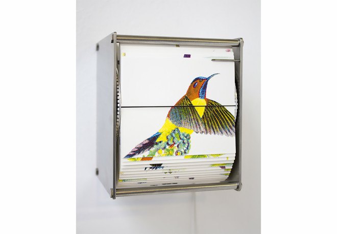Ornithology, Ornithology flip book, flip book animation, Gilda Williams, Juan Fontanive, Ornithology by Juan Fontanive, Juan Fontanive flip books, motorized flip books, recycled bicycle parts, recycled bicycle art, bristol paper, bristol paper flip book, Vivarium flip books, Vivarium by Juan Fontanive