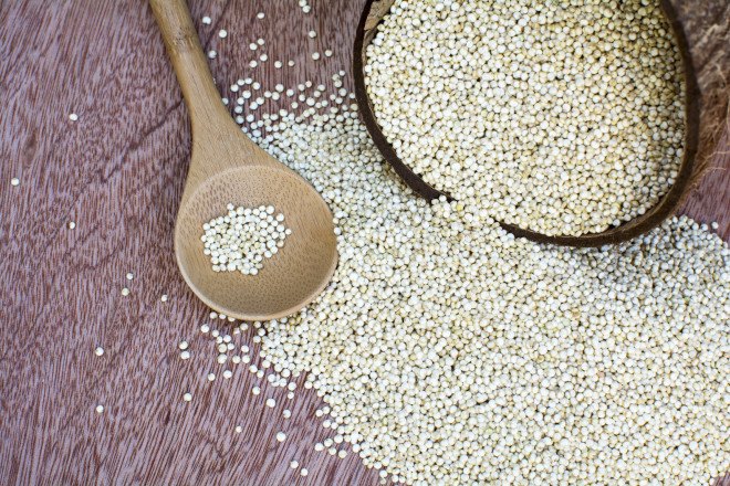 plant based diet, how to transition to a plant based diet, best plant based foods, plant based transition, plant based, vegan, vegetarian, veganuary, portable meals, whole grains, healthy fats, legumes, healthy eating
